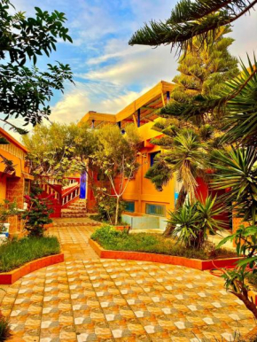 Surf & Salsa Ocean House